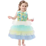 Floral Mesh Dress removebg preview 1 Princess Multicolor tulle dress